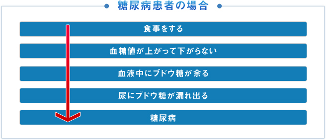 糖尿病患者の場合　食事をする→血糖値が上がって下がらない→血液中にブドウ糖が余る→尿にブドウ糖が漏れ出る→糖尿病