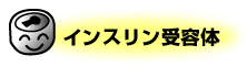 インスリン受容体