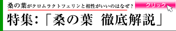 桑の葉　徹底解説