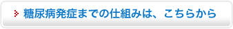 糖尿病発症までの仕組みは、こちらから