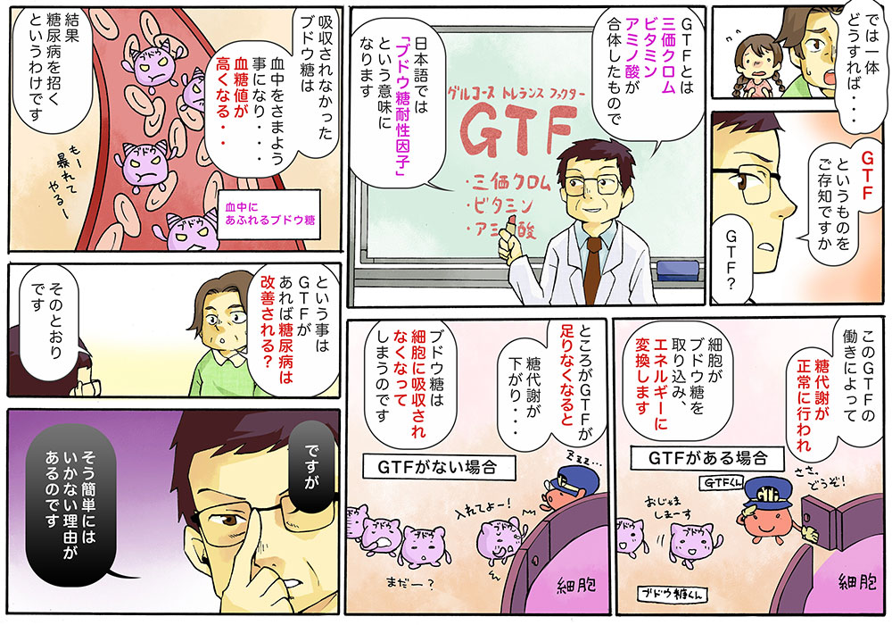 GTFがあれば糖尿病は改善される？